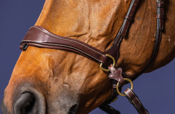 Bridle D Motion | Dy'on D Collection