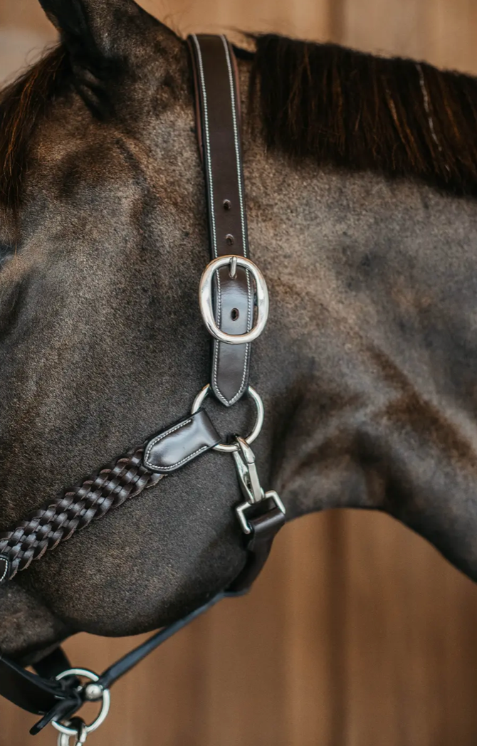 https://equitavisports.ca › products › licol-tresse-kentucky-horsewear