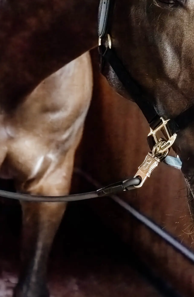 https://equitavisports.ca › products › horse-box-lead-cross-ties-silicone-kentucky-forswea