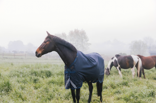 Comfort Waterproof Turnout Rug | Kentucky Horsewear