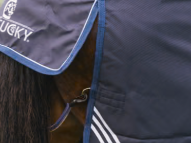 Comfort Waterproof Turnout Rug | Kentucky Horsewear