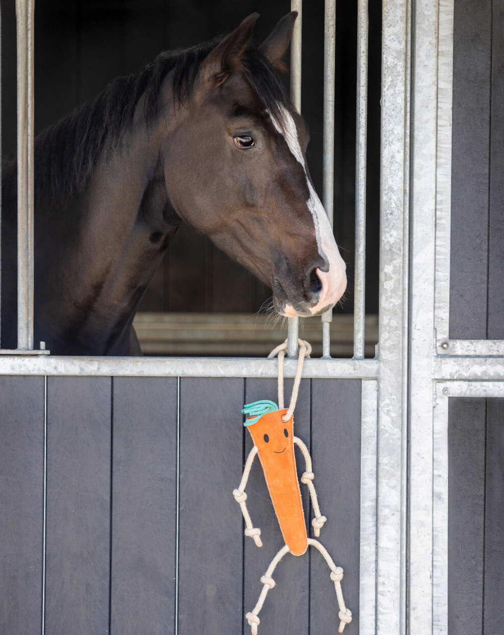 https://equitavisports.ca › products › jouets-pour-chevaux-canpro