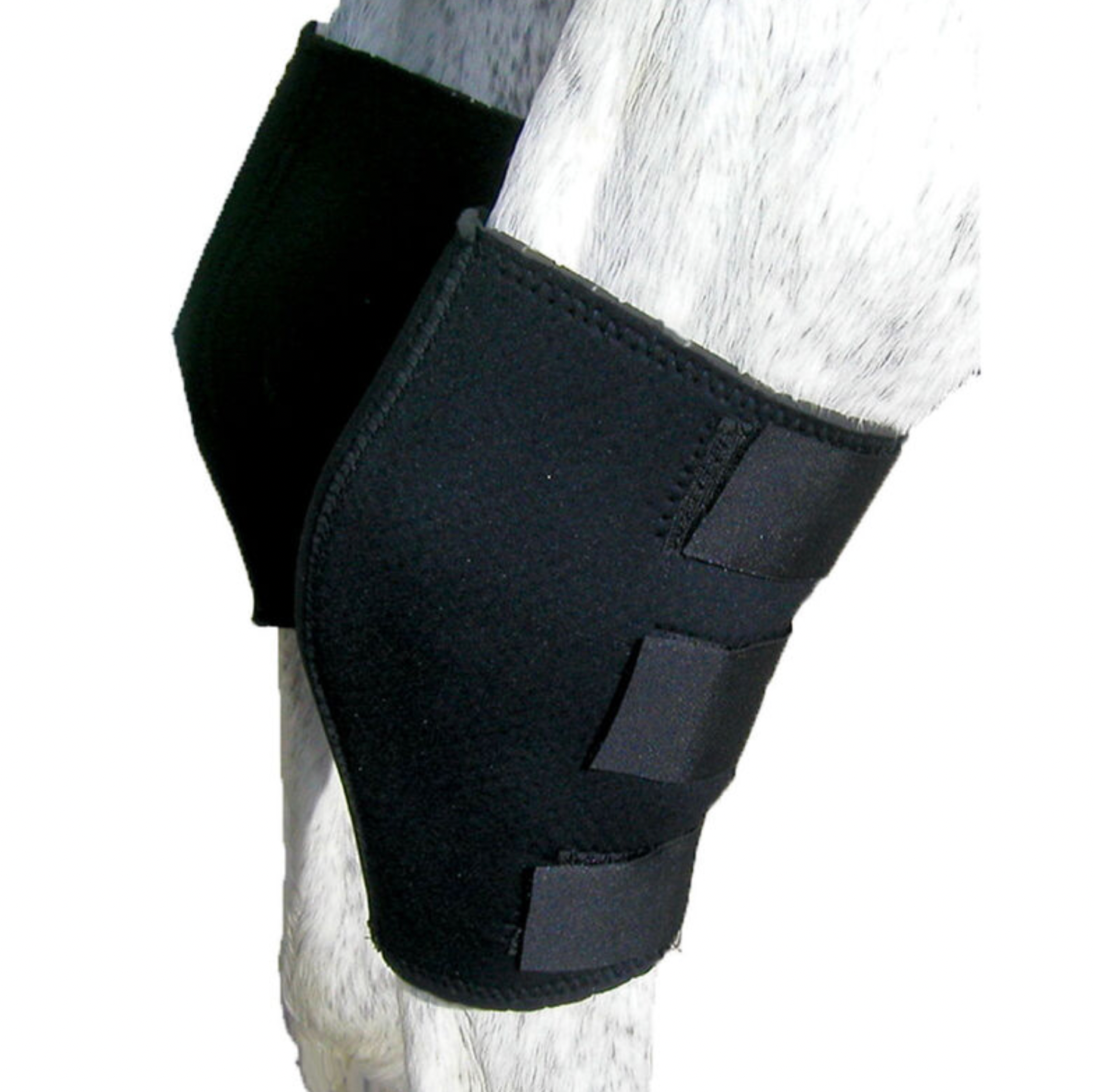 https://equitavisports.ca › products › protege-jarrets-en-neoprene-canpro