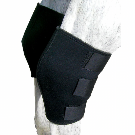 https://equitavisports.ca › products › protege-jarrets-en-neoprene-canpro