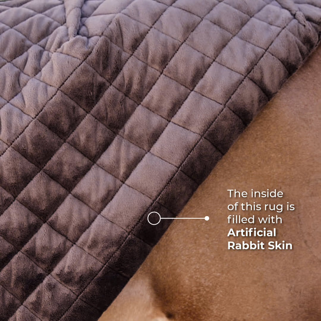 0g Stable Blanket | Kentucky Horsewear