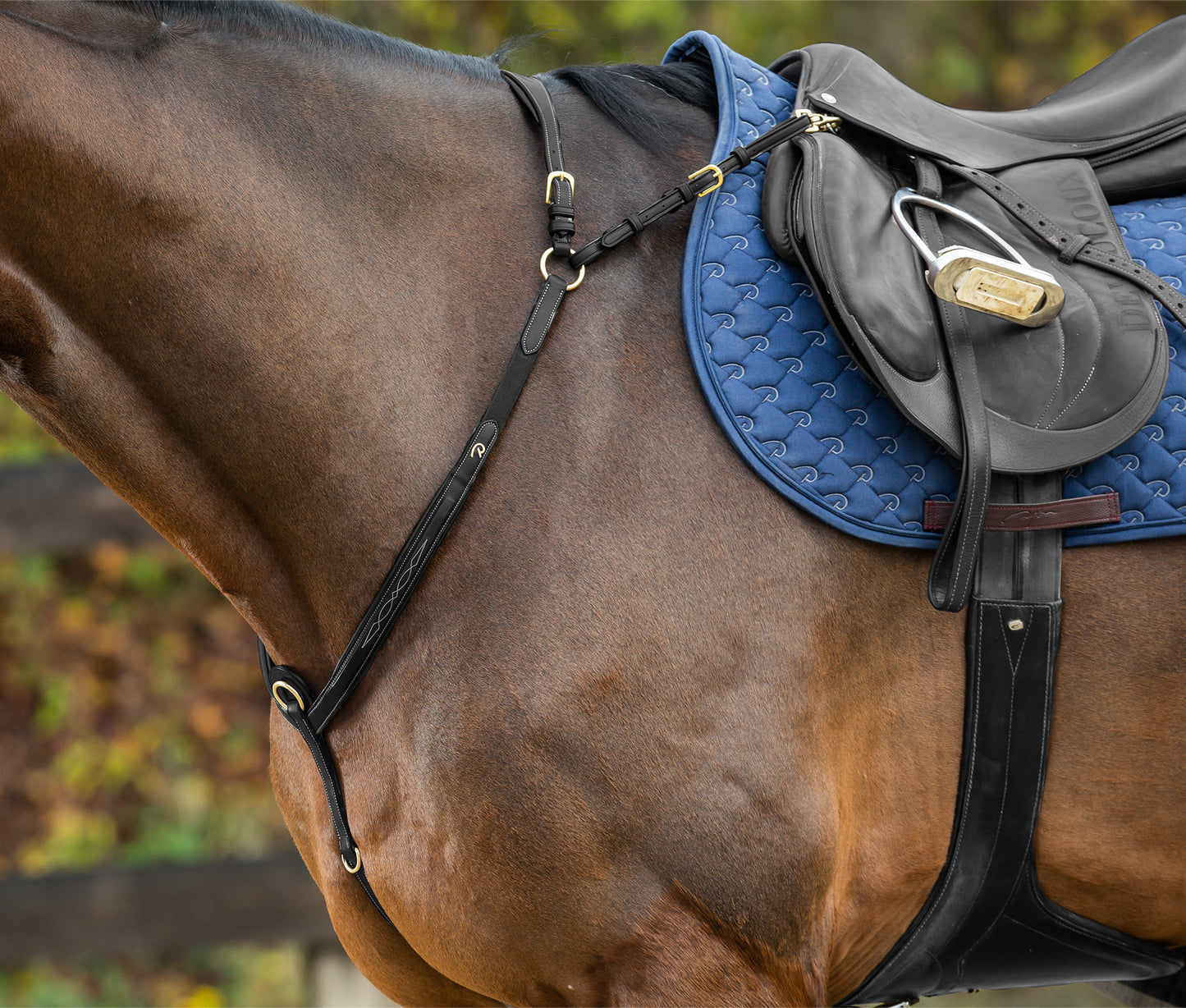 Hunting Collar with Bridge | DYON D COLLECTION