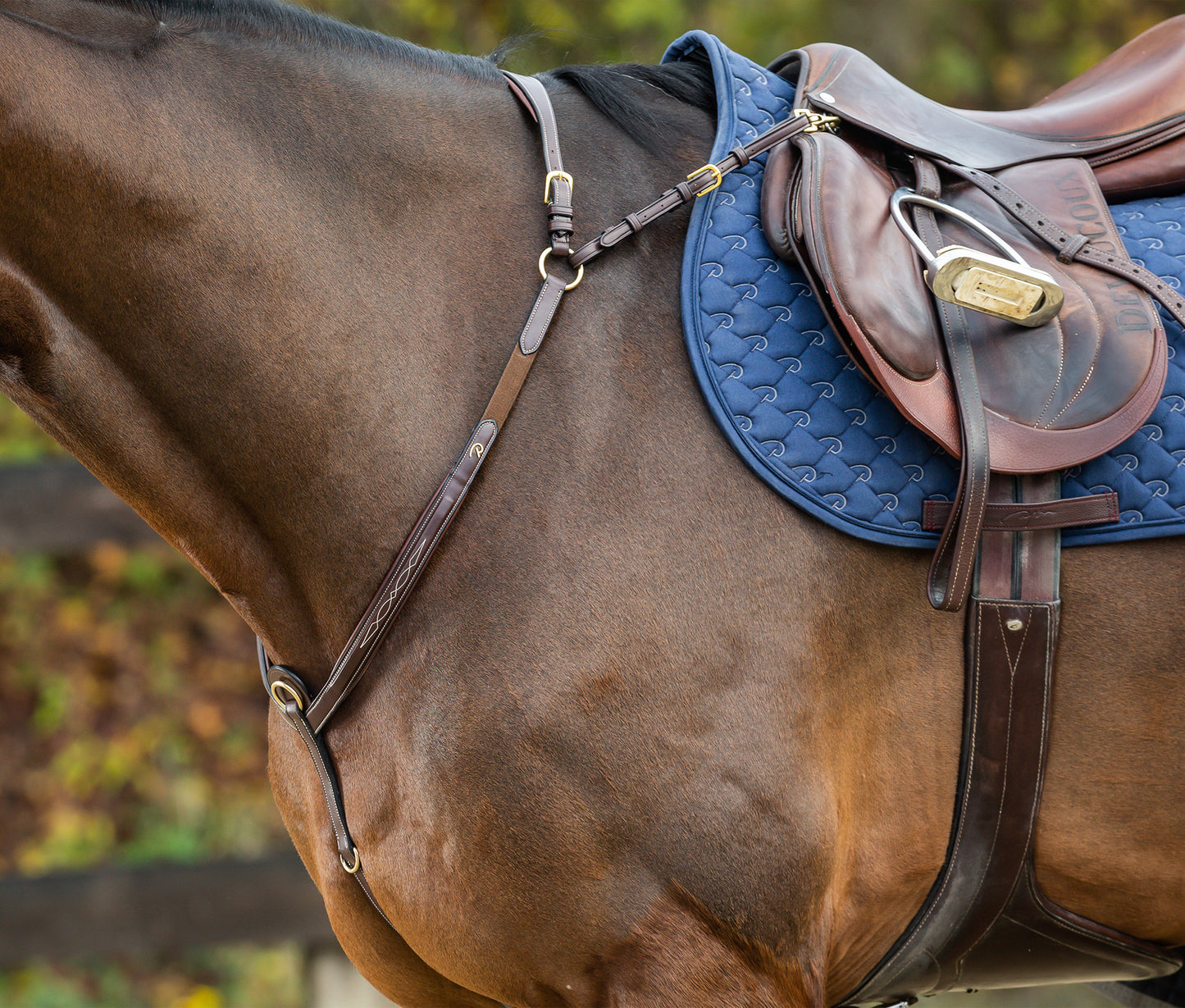 Hunting Collar with Bridge | Dy'on D Collection