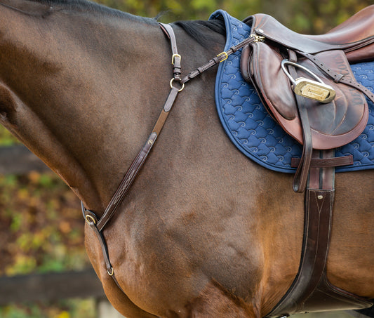 Hunting Collar with Bridge | Dy'on D Collection