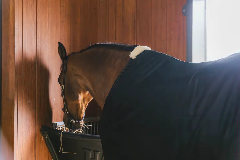 https://equitavisports.ca/products/couverture-anti-mouches-kentucky