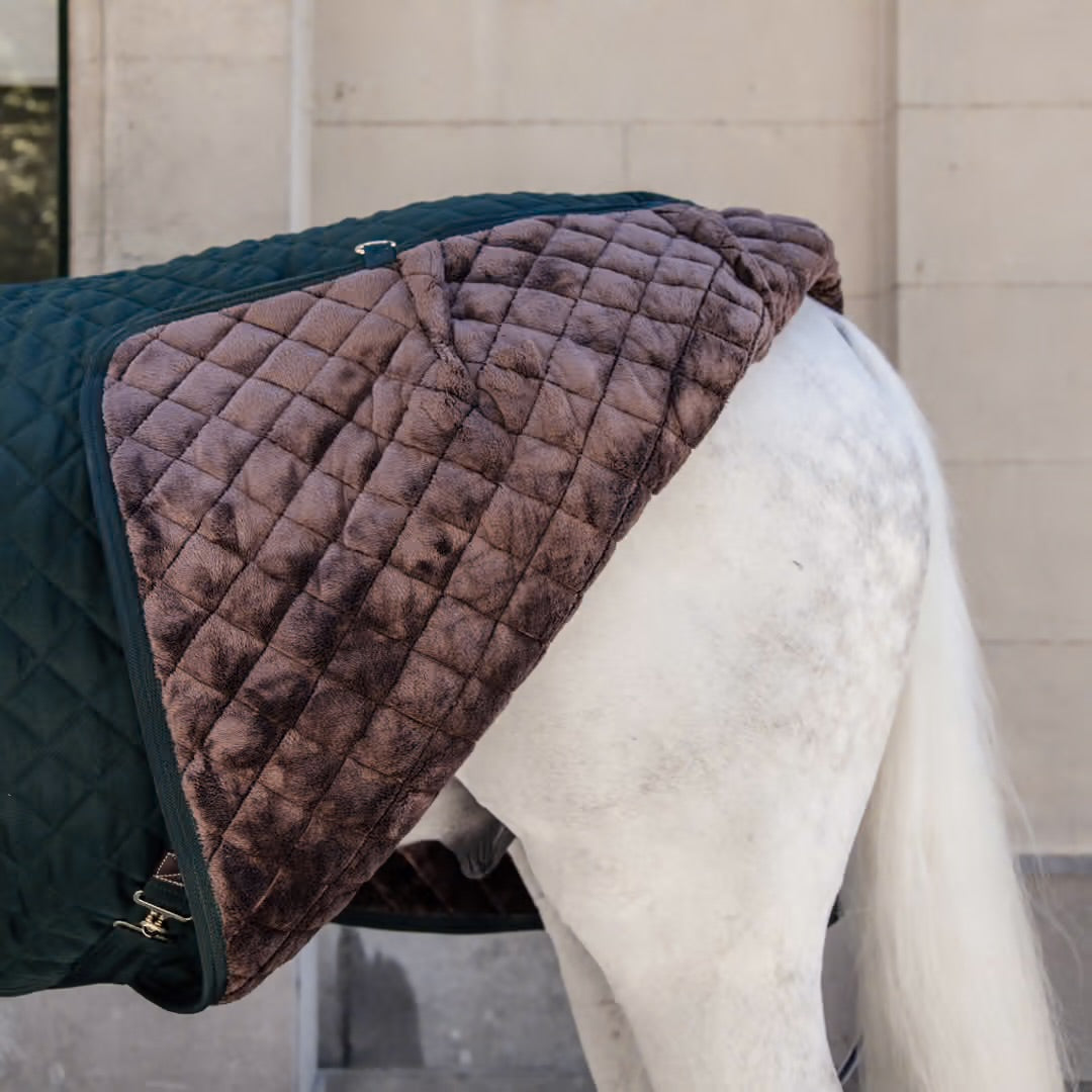 https://equitavisports.ca › products › couverture-decurie-kentucky-horsewear