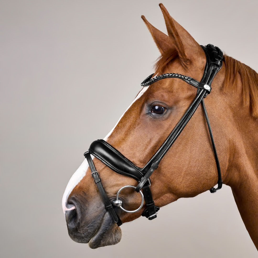 https://equitavisports.ca › products › bride-muserolle-combinee-large