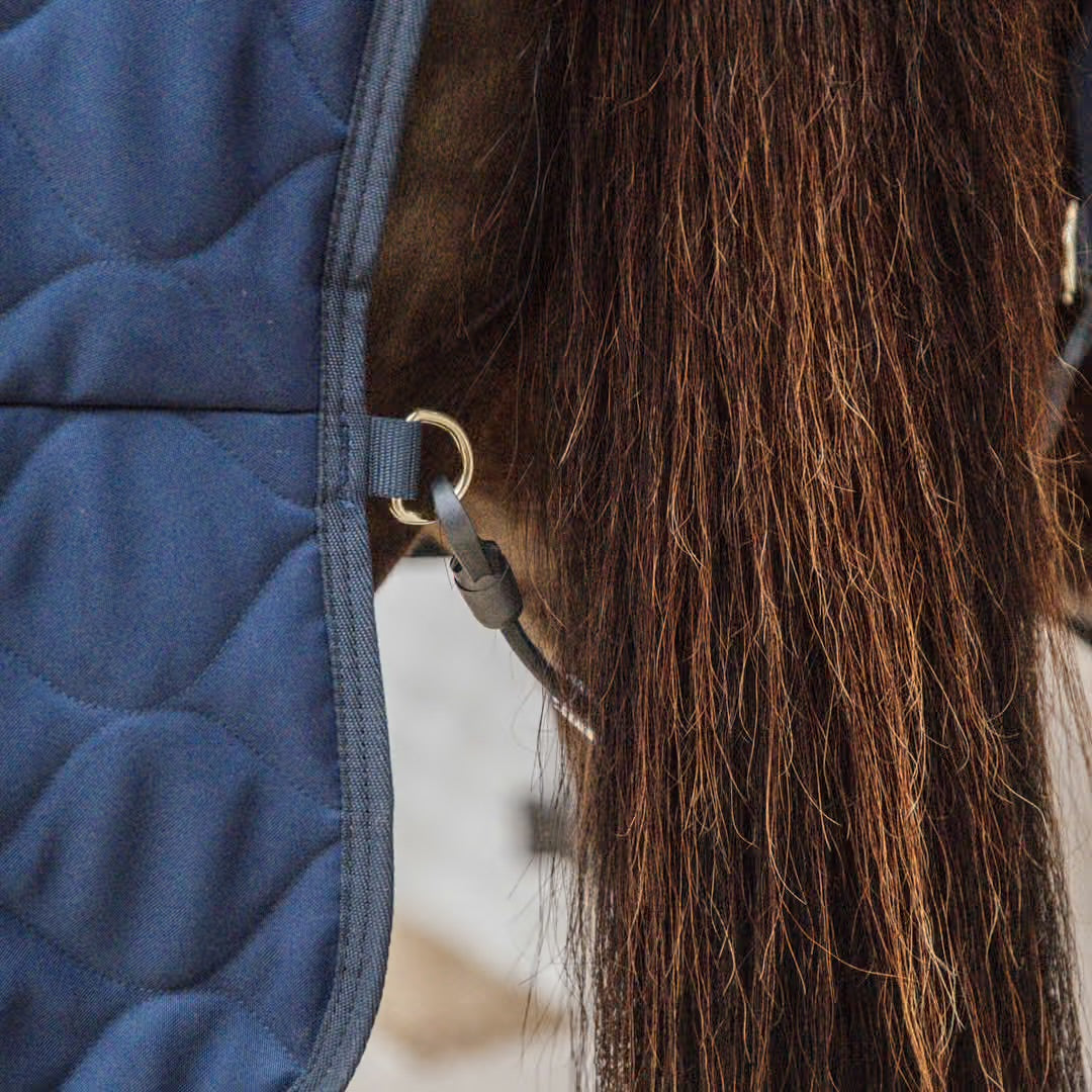 https://equitavisports.ca › products › couverture-decurie-comfort-100g-kentucky-horsewear