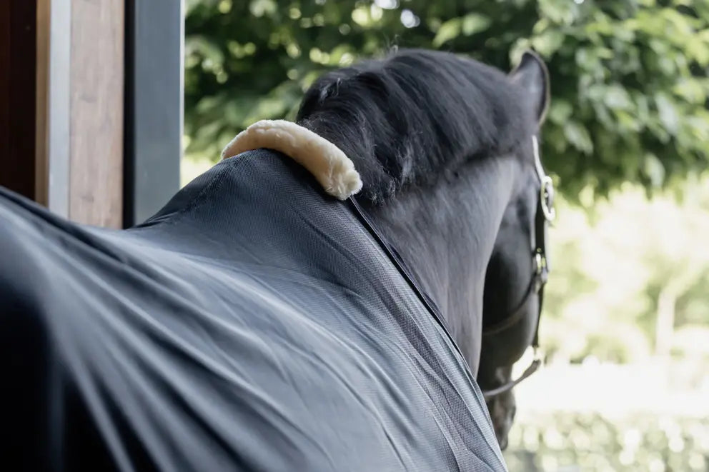 https://equitavisports.ca/products/couverture-anti-mouches-kentucky
