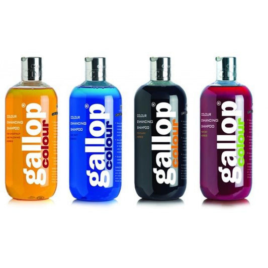 Shampoo|CARR & DAY & MARTIN GALLOP COLOR ENHANCING SHAMPOO, 500 ML