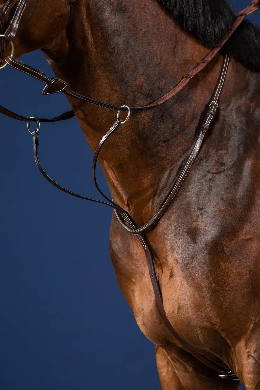 Martingale met Ringen Dy'on Working | La sellerie de Maé Martingale met Ringen Dy'on Working | La sellerie de Maé