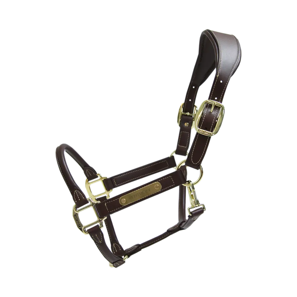 https://equitavisports.ca/products/licol-anatomique-cuir-kentucky