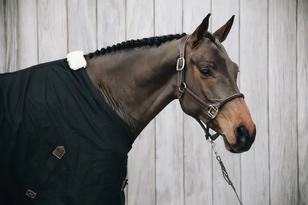 https://equitavisports.ca/products/licol-anatomique-cuir-kentucky