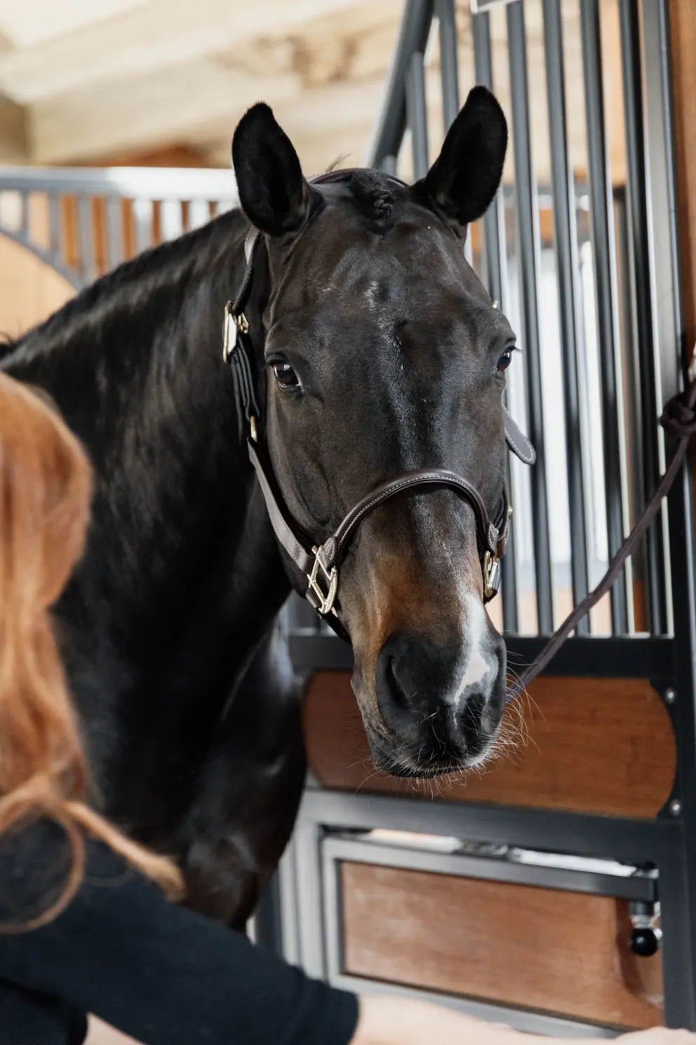 https://equitavisports.ca/products/licol-anatomique-cuir-kentucky