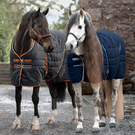 https://equitavisports.ca › products › couverture-d-ecurie-rambo-200g-horseware