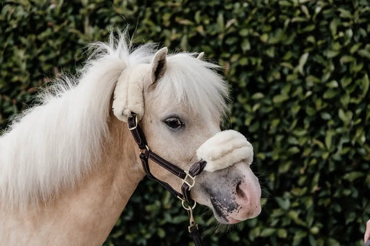 Sheepskin Leather Halter | Kentucky Horsewear