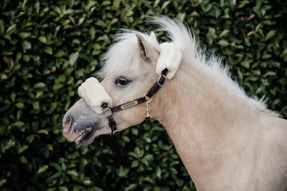 Sheepskin Leather Halter | Kentucky Horsewear