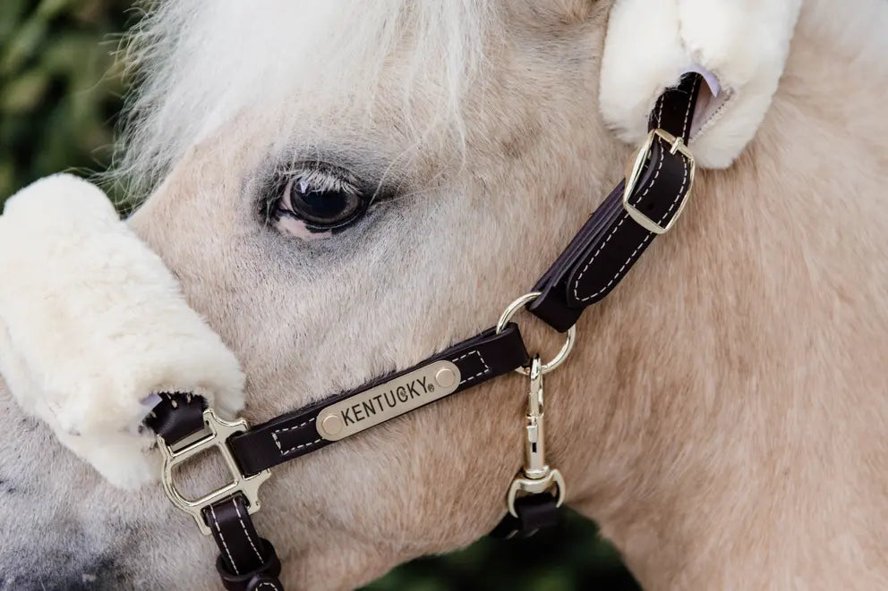 Sheepskin Leather Halter | Kentucky Horsewear