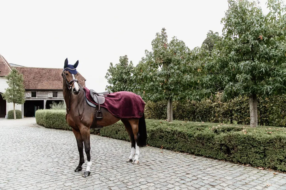 https://equitavisports.ca › products › couvre-reins-heavy-fleece-kentucky-horsewear