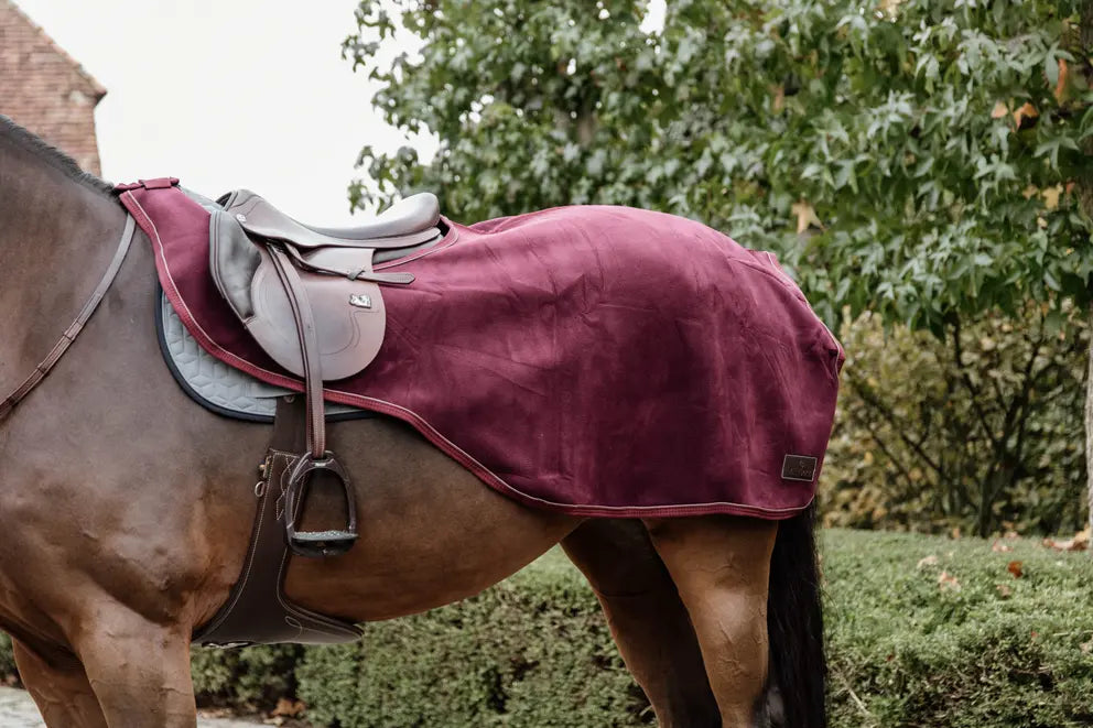 https://equitavisports.ca › products › couvre-reins-heavy-fleece-kentucky-horsewear