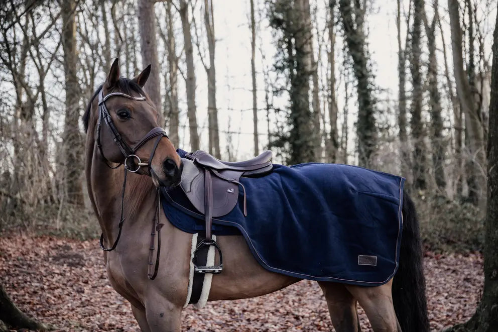 https://equitavisports.ca › products › couvre-reins-heavy-fleece-kentucky-horsewear
