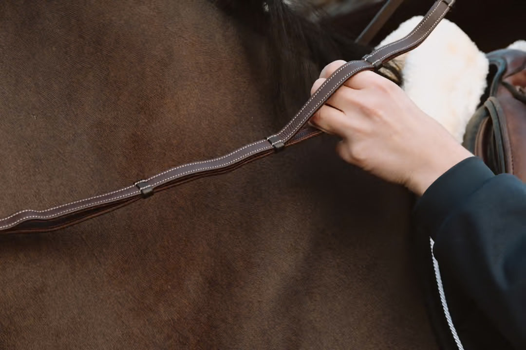 Leather Reins with Handles | Dy'on