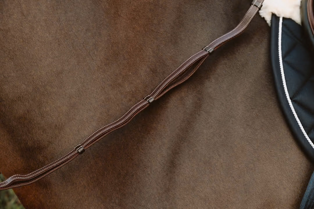 Leather Reins with Handles | Dy'on