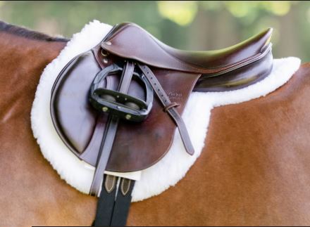 Equifit Essential Hunter Pad