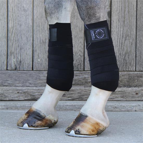 https://equitavisports.ca › products › t-sport-wrap