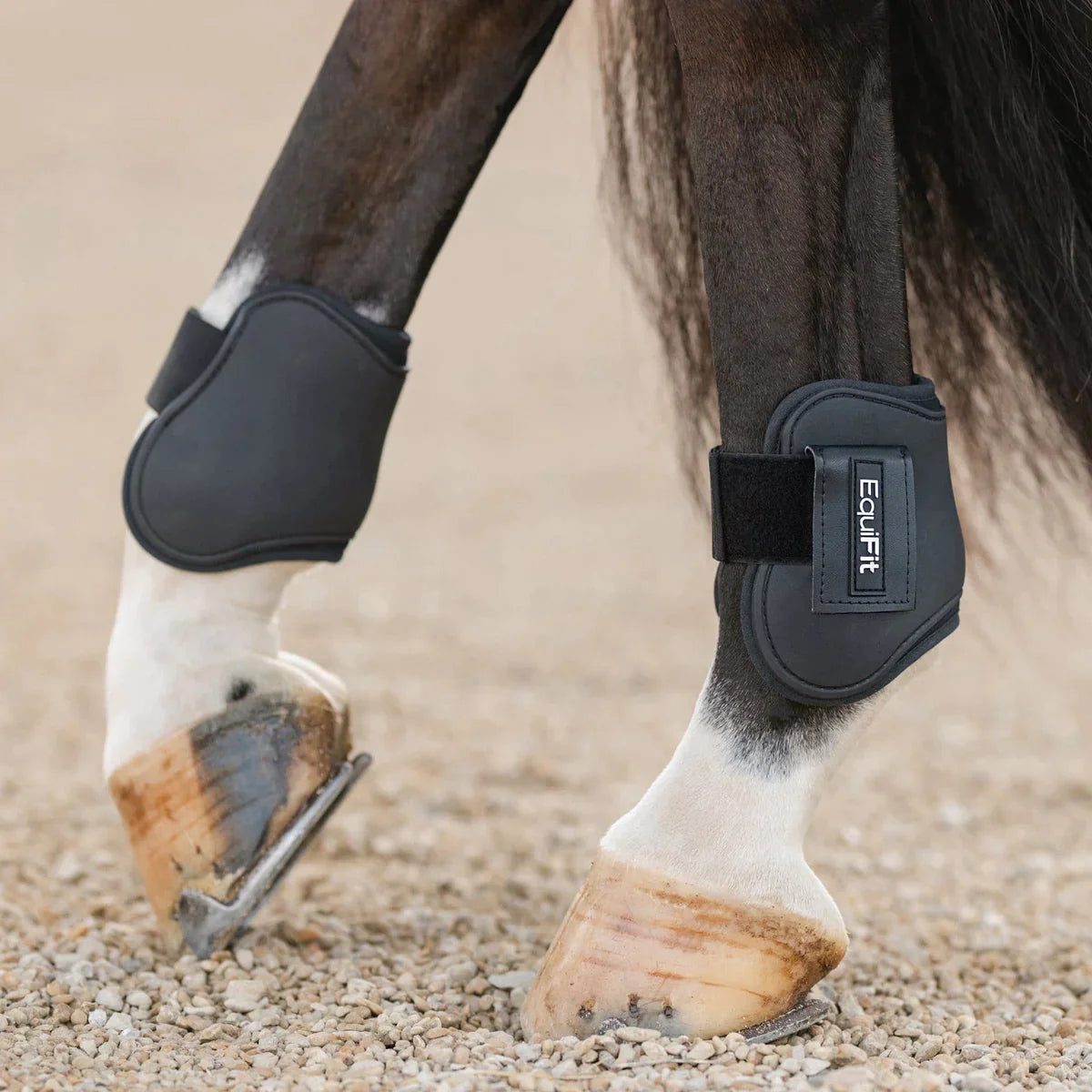 https://equitavisports.ca › products › equifit-one-s-hind-boot