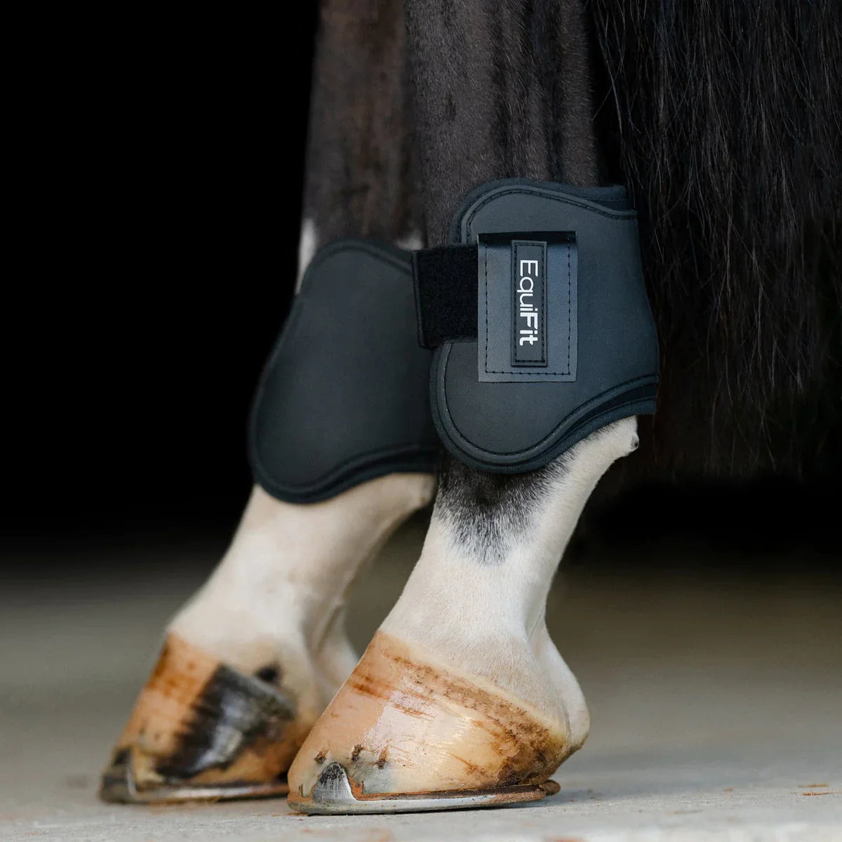 https://equitavisports.ca › products › equifit-one-s-hind-boot