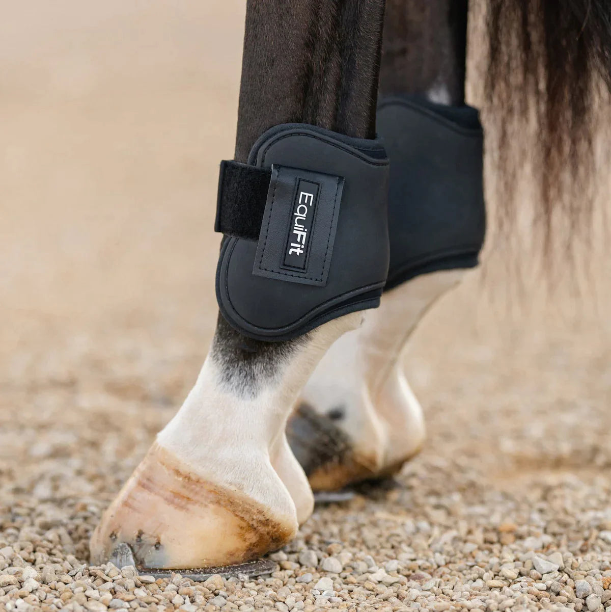 https://equitavisports.ca › products › equifit-one-s-hind-boot