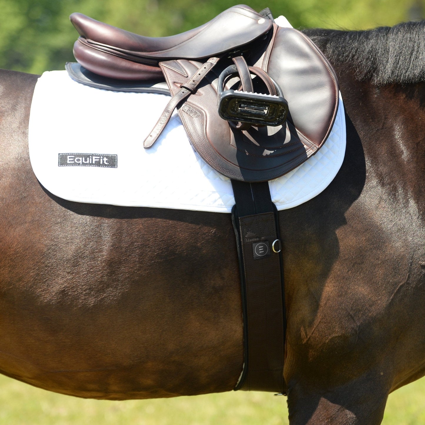 Essential Girth-EQUIFIT