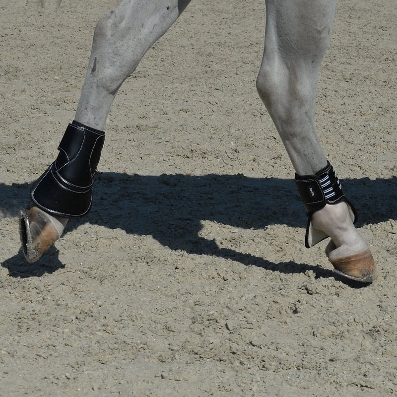 Rear boot with liner - Equifit MULTITEQ™