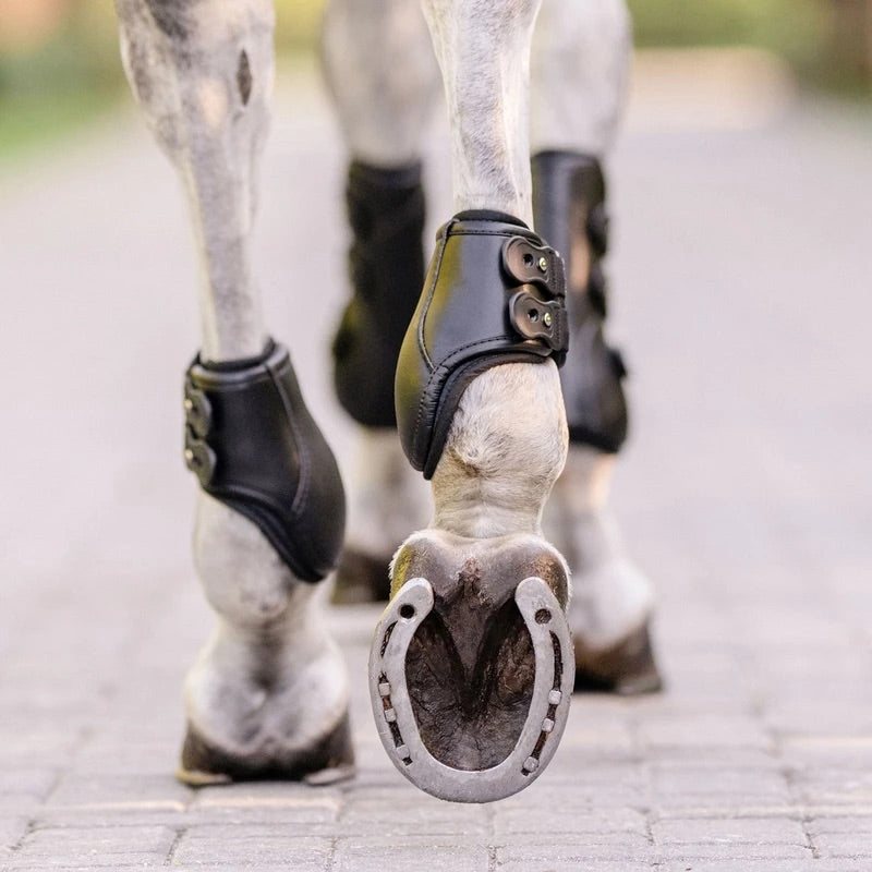 Hind Boots-EQUIFIT EQ-TEQ™
