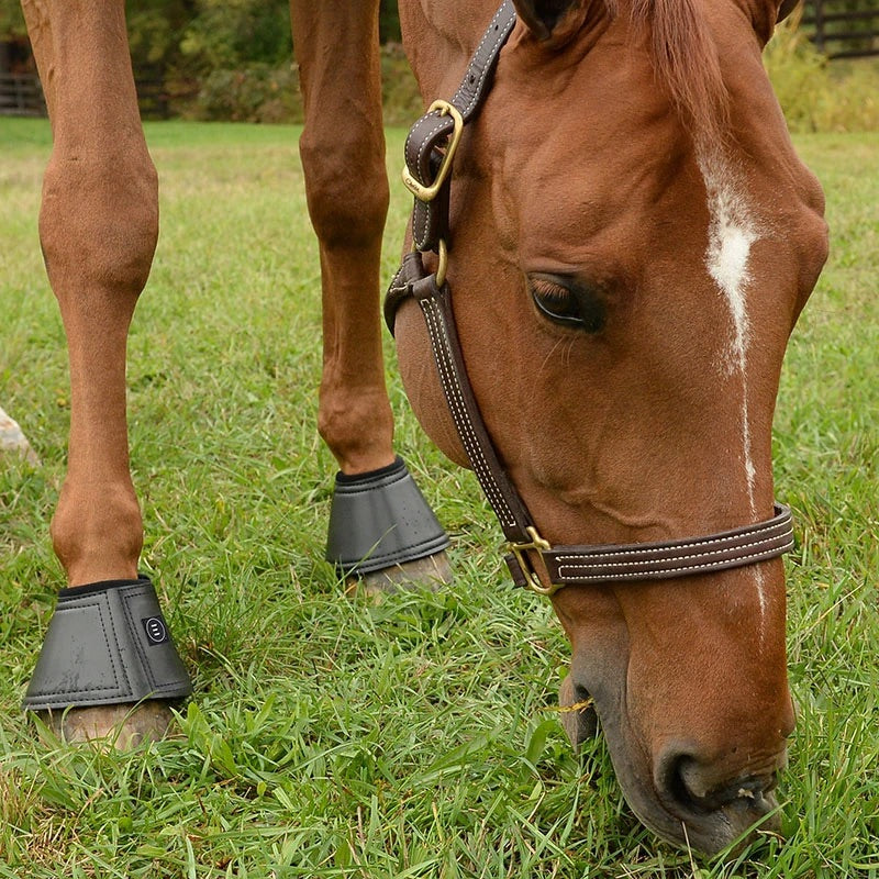 Bell Boots - EQUIFIT