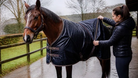 Comment choisir une couverture cheval imperméable