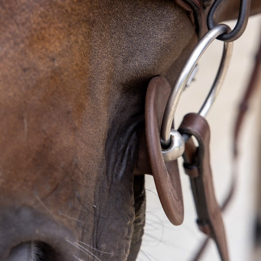 https://equitavisports.ca › products › anneaux-de-mors-en-silicone-kentucky-horsewear
