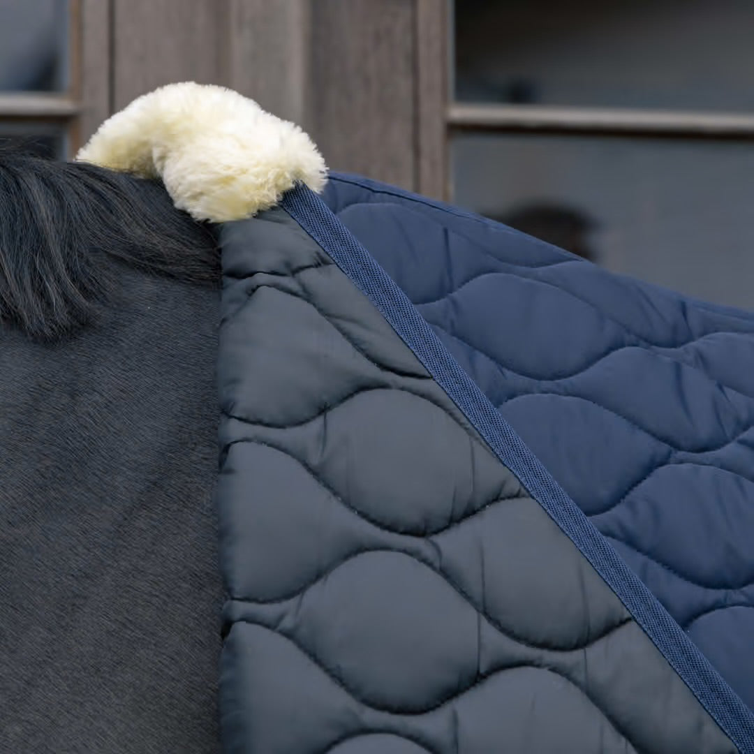 https://equitavisports.ca › products › couverture-decurie-wave-kentucky-horsewear
Couverture d'Ecurie Wave | Kentucky Horsewear