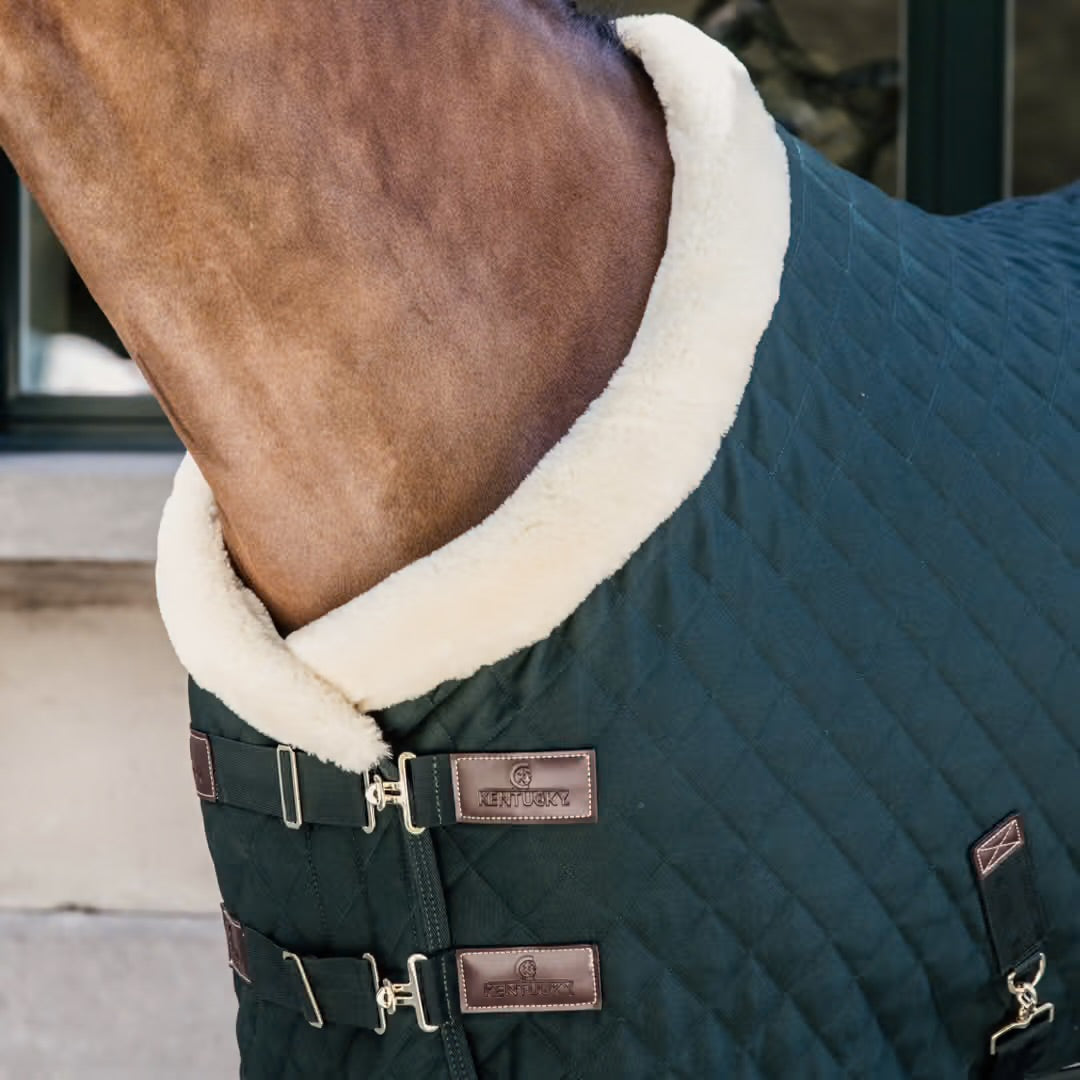 Show Blanket | Kentucky Horsewear