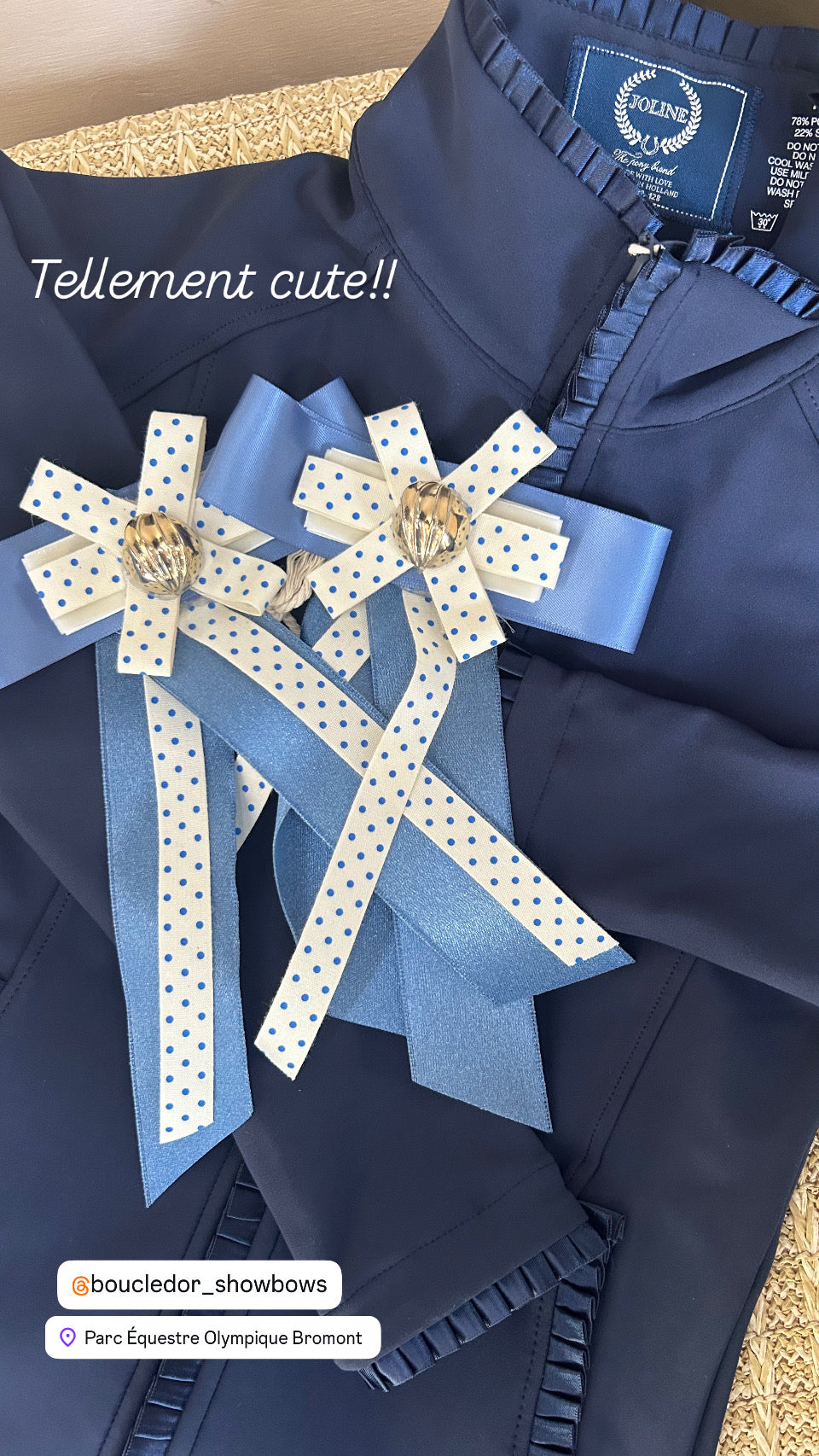 https://equitavisports.ca › products › boucles-de-concours-boucle-d-or