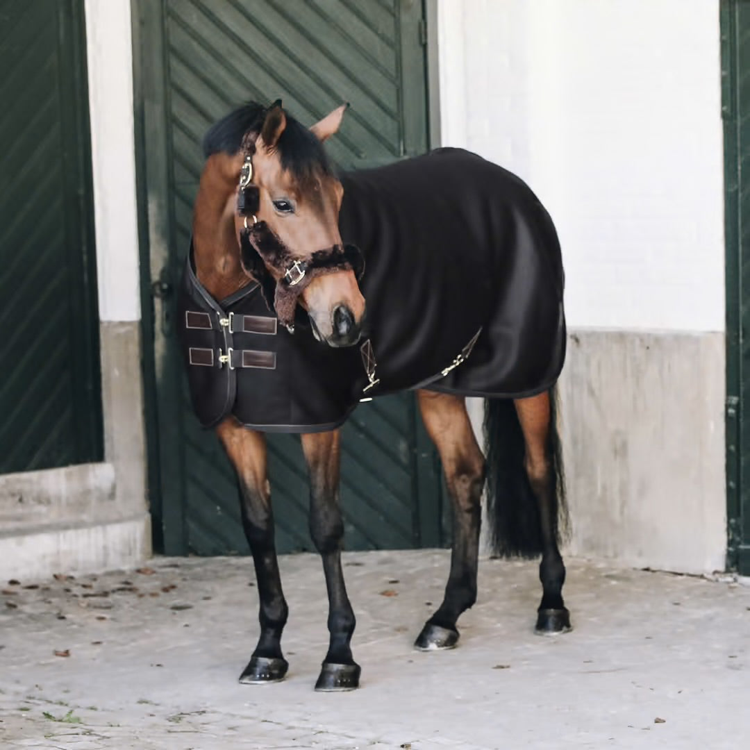 https://equitavisports.ca › products › cooler-3d-spacer-kentucky-horsewear