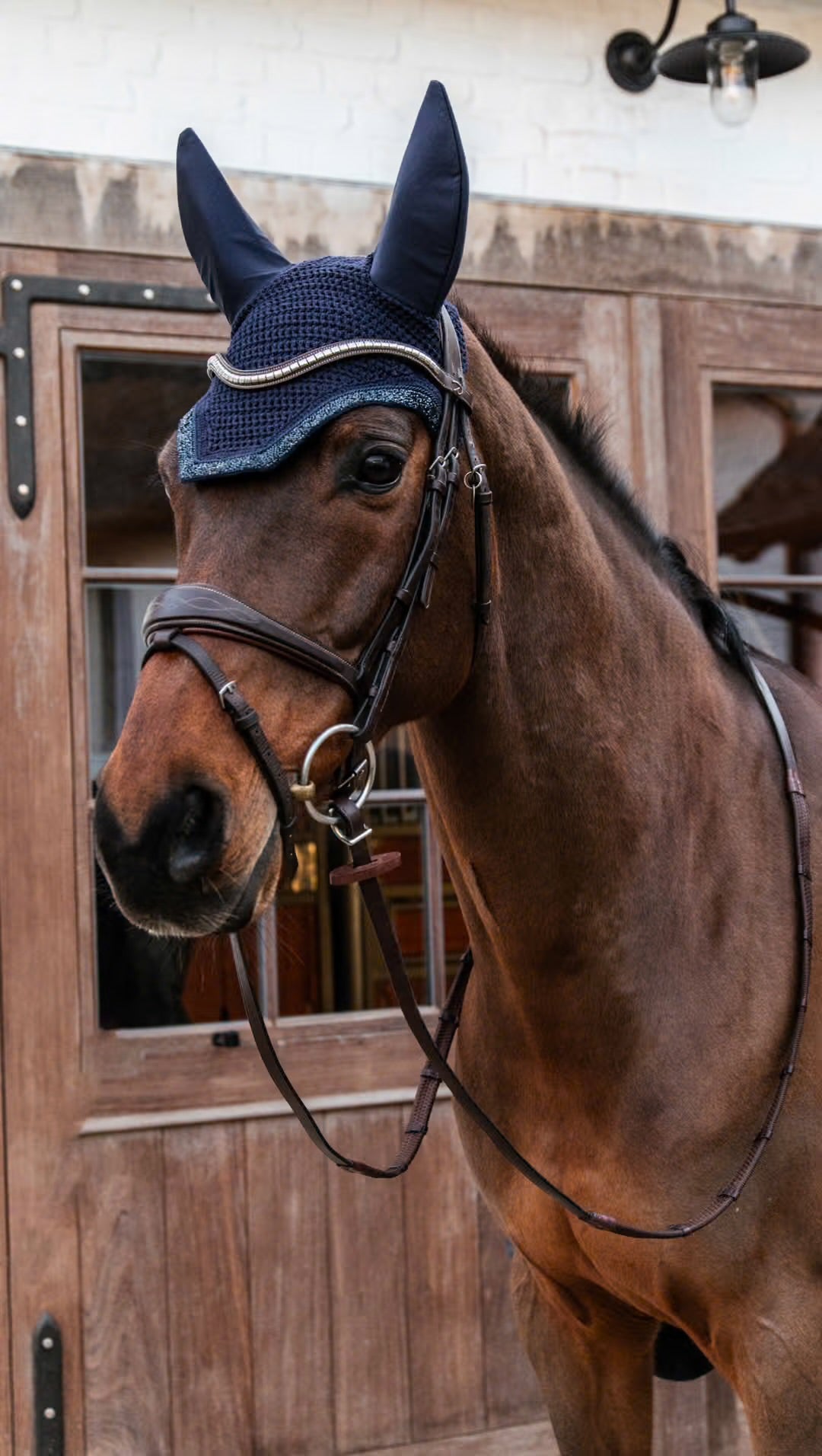 https://equitavisports.ca › products › bonnet-glitter-stone-kentucky-horsewear