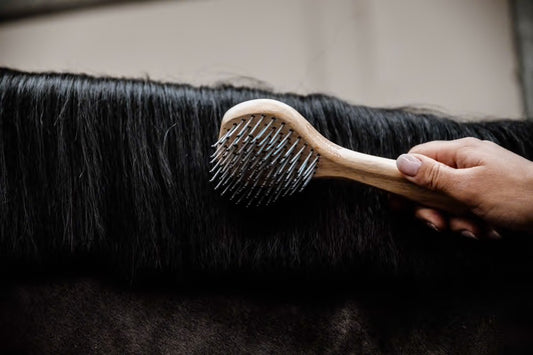 Horsehair Brush | Kentucky Horsewear