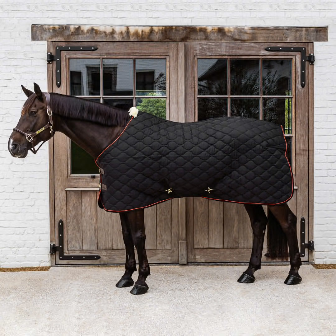 https://equitavisports.ca › products › couverture-decurie-wave-kentucky-horsewear
Couverture d'Ecurie Wave | Kentucky Horsewear