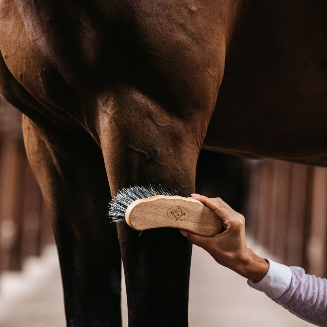 https://equitavisports.ca › products › brosse-a-poils-durs-kentucky